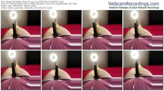 2025/04/17/stripchat-ceyceys-10-55-05