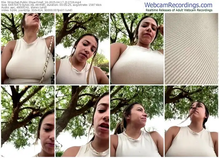 2025/04/17/stripchat-hall_16-21-27-26