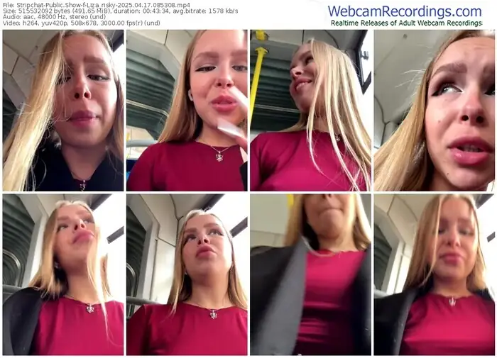 2025/04/17/stripchat-liza_risky-08-53-08