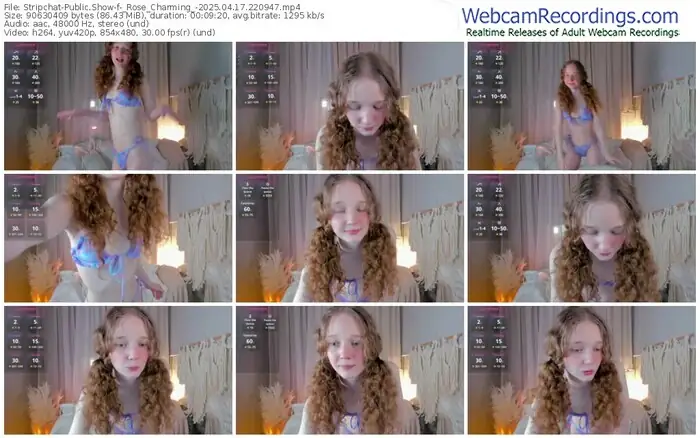 2025/04/17/stripchat-_rose_charming_-22-09-47