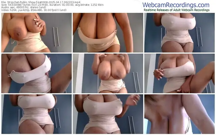 2025/04/17/stripchat-katt008-06-22-03