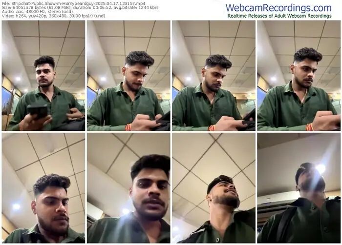 2025/04/17/stripchat-hornybeardguy-12-31-57