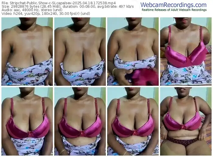2025/04/18/stripchat-slcapalsex-17-25-38