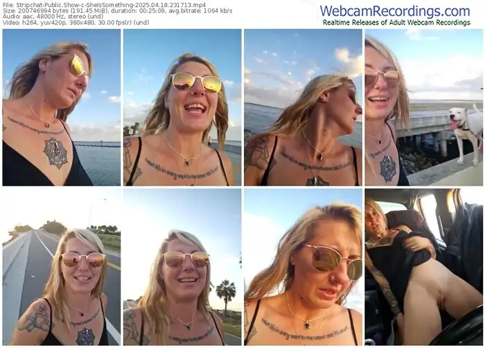 2025/04/18/stripchat-sheissomething-23-17-13