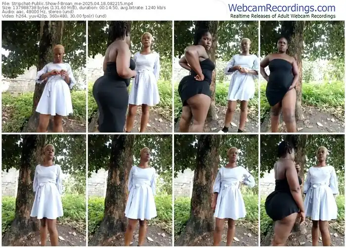 2025/04/18/stripchat-broan_me-08-22-15
