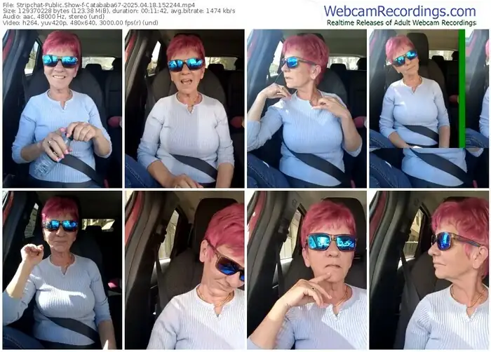 2025/04/18/stripchat-catababa67-15-22-44