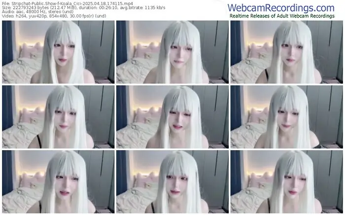 2025/04/18/stripchat-koala_cici-17-41-15