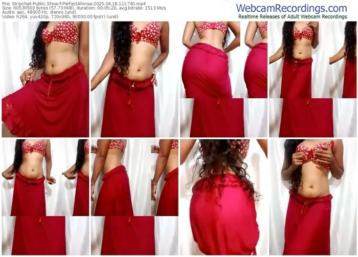 2025/04/18/stripchat-perfectahinsa-11-17-40