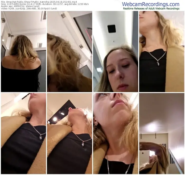 2025/04/18/stripchat-public_katrisha-15-14-01