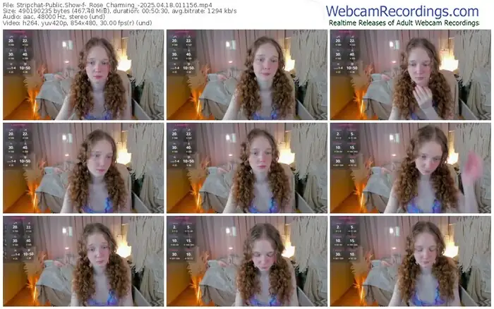 2025/04/18/stripchat-_rose_charming_-01-11-56