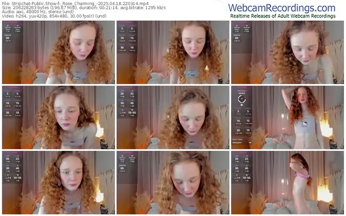 2025/04/18/stripchat-_rose_charming_-22-03-14