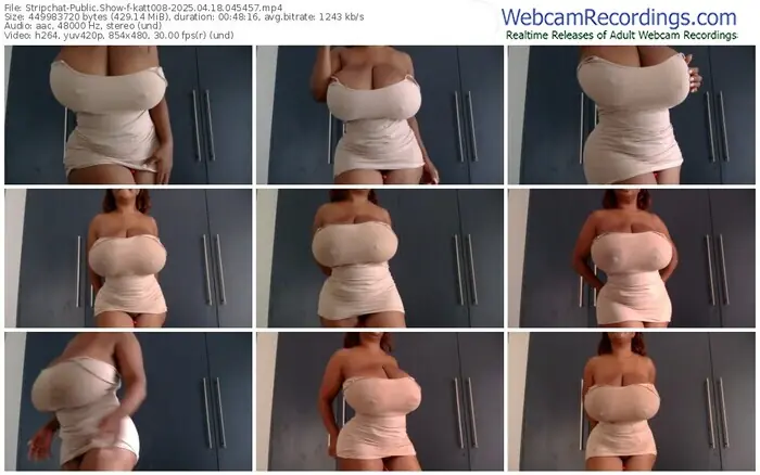 2025/04/18/stripchat-katt008-04-54-57