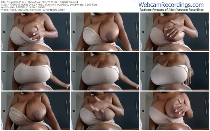 2025/04/18/stripchat-katt008-07-08-56