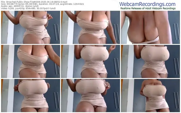2025/04/18/stripchat-katt008-08-05-14