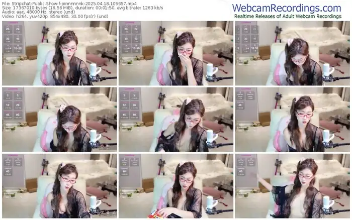 2025/04/18/stripchat-pinnnnnnk-10-56-57