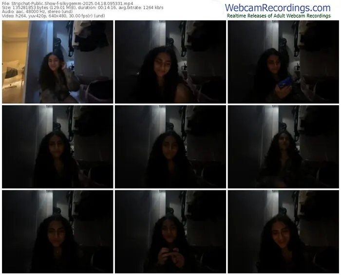 2025/04/18/stripchat-silkygemm-09-53-31