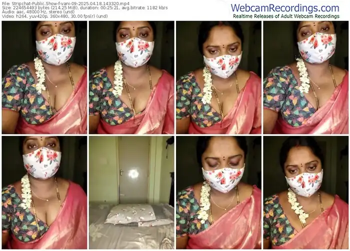2025/04/18/stripchat-vani-09-14-33-20