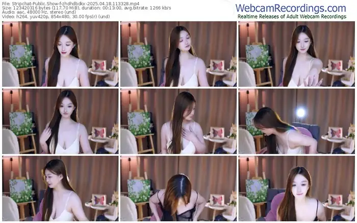 2025/04/18/stripchat-zhdhdbdkx-11-33-28
