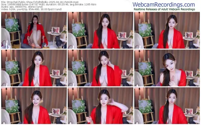 2025/04/18/stripchat-zhdhdbdkx-15-44-29