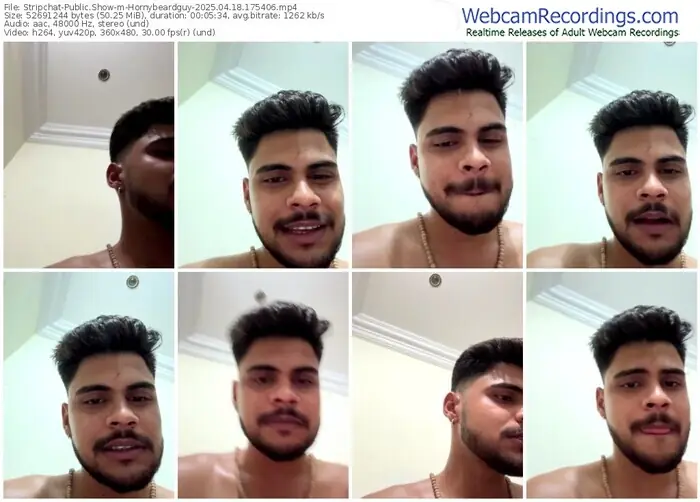 2025/04/18/stripchat-hornybeardguy-17-54-06