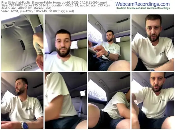2025/04/18/stripchat-pablo_hornyguy95-11-09-54