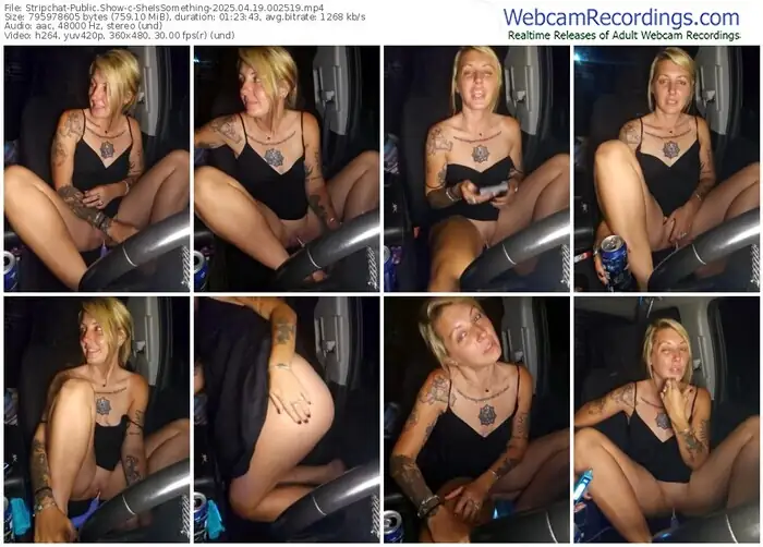 2025/04/19/stripchat-sheissomething-00-25-19