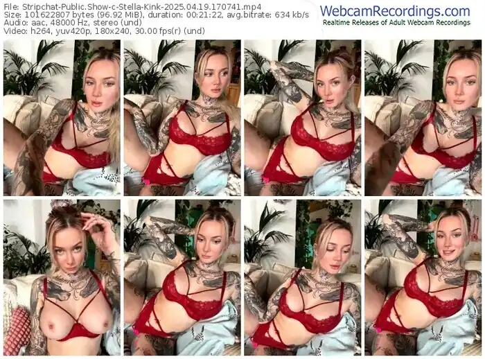 2025/04/19/stripchat-stella-kink-17-07-41