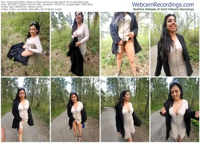 2025/04/19/stripchat-thecrimsonlounge-02-04-09