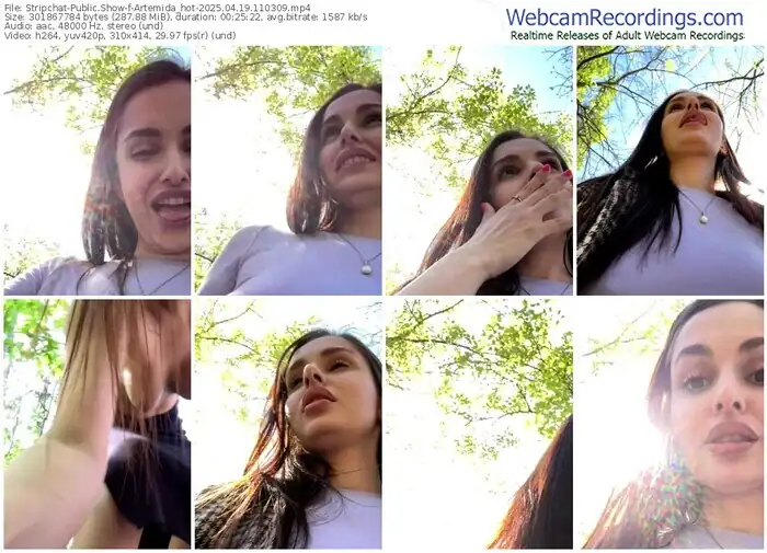 2025/04/19/stripchat-artemida_hot-11-03-09