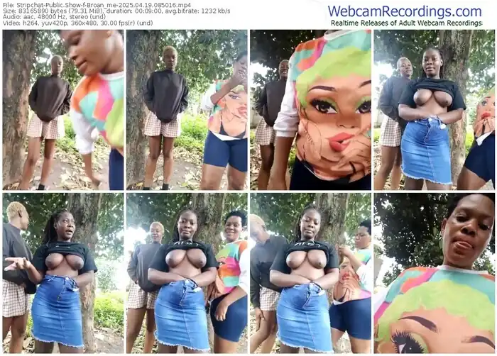 2025/04/19/stripchat-broan_me-08-50-16