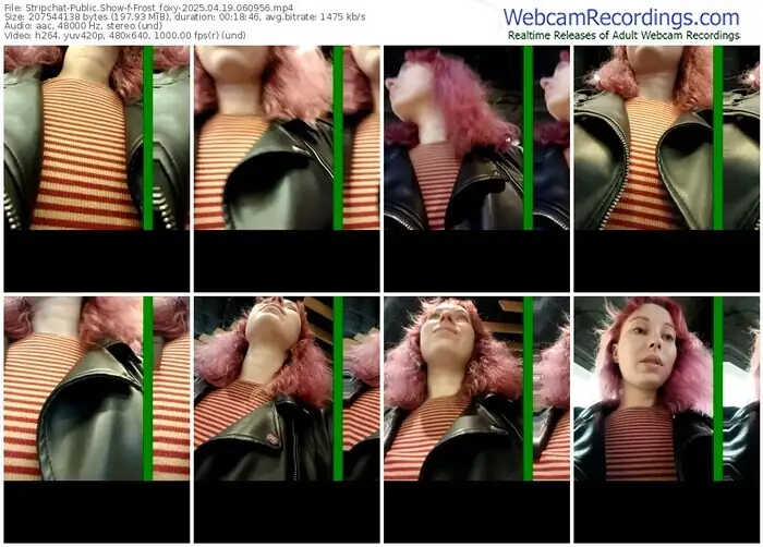 2025/04/19/stripchat-frost_foxy-06-09-56