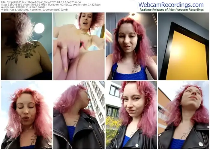2025/04/19/stripchat-frost_foxy-13-48-25