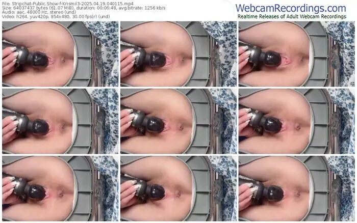 2025/04/19/stripchat-krismil3-04-01-15