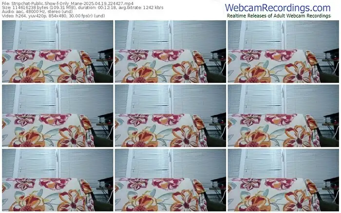 2025/04/19/stripchat-only_mane-22-44-27