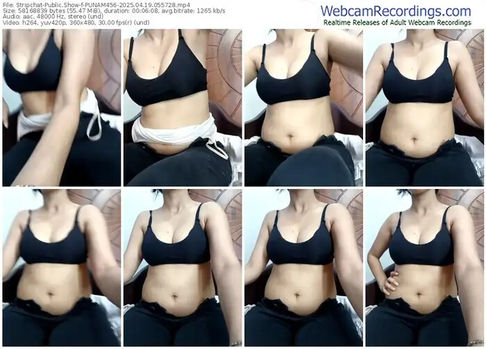 2025/04/19/stripchat-punam456-05-57-28