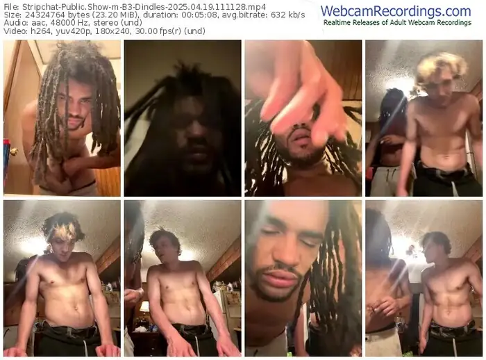 2025/04/19/stripchat-b3-dindles-11-11-28