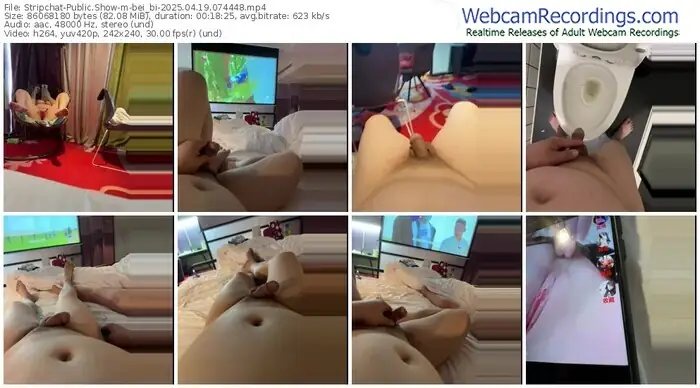 2025/04/19/stripchat-bei_bi-07-44-48