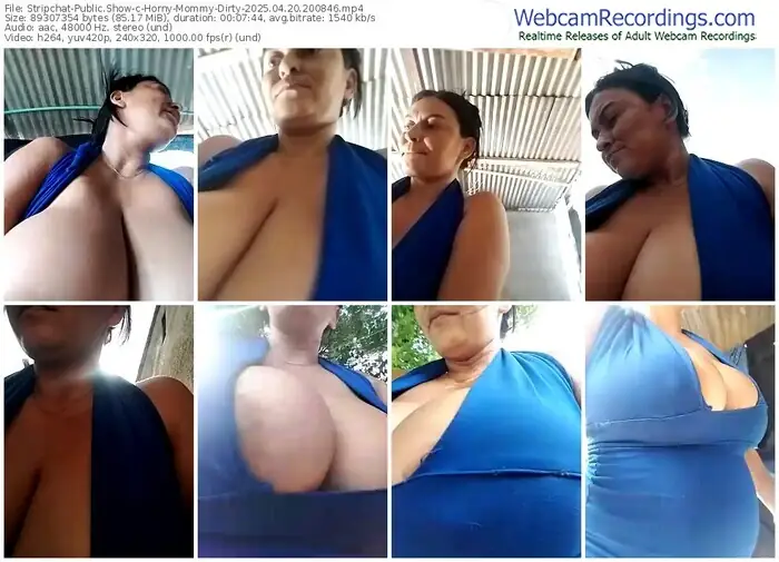 2025/04/20/stripchat-horny-mommy-dirty-20-08-46