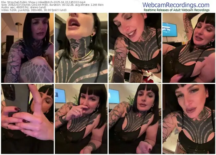 2025/04/20/stripchat-inkedbiitch-18-53-22