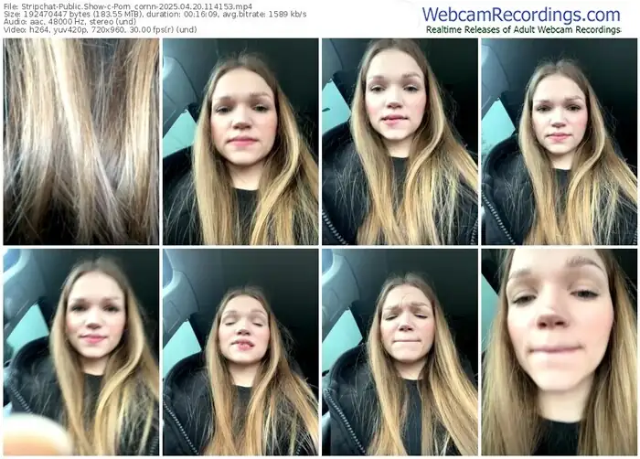 2025/04/20/stripchat-porn_cornn-11-41-53