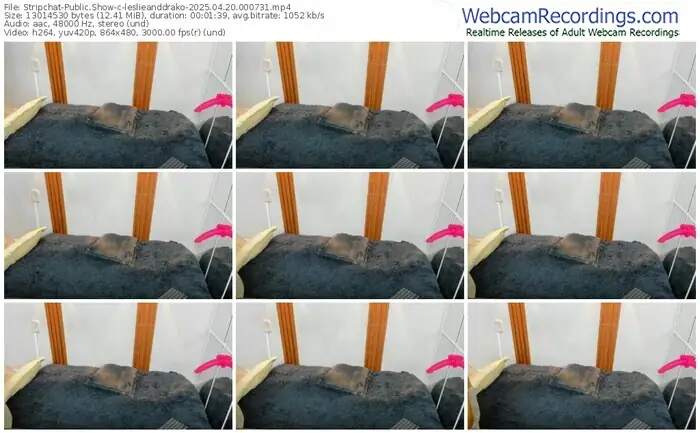 2025/04/20/stripchat-leslieanddrako-00-07-31