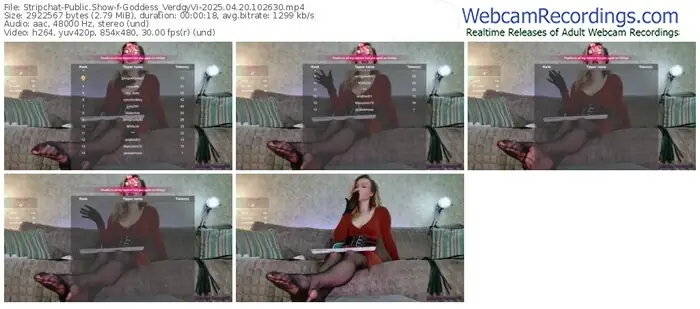 2025/04/20/stripchat-goddess_verdgyvi-10-26-30