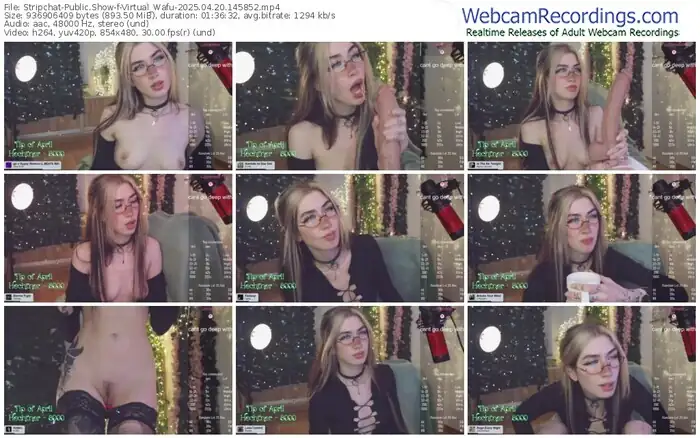 2025/04/20/stripchat-virtual_wafu-14-58-52