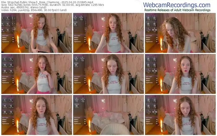 2025/04/20/stripchat-_rose_charming_-21-08-45