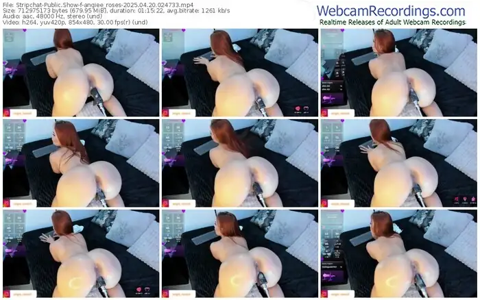 2025/04/20/stripchat-angiee_roses-02-47-33