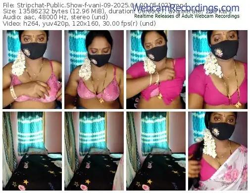 2025/04/20/stripchat-vani-09-05-40-21