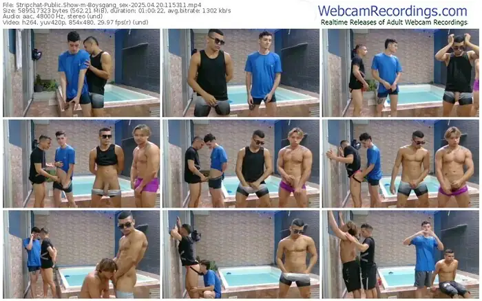 2025/04/20/stripchat-boysgang_sex-11-53-11
