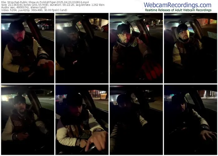 2025/04/20/stripchat-ticklishtiger-03-28-16