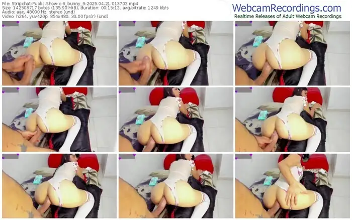 2025/04/21/stripchat-6_bunny_9-01-37-03