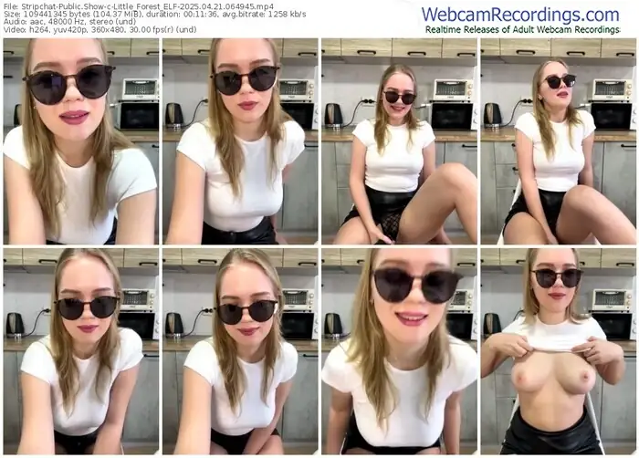 2025/04/21/stripchat-little_forest_elf-06-49-45